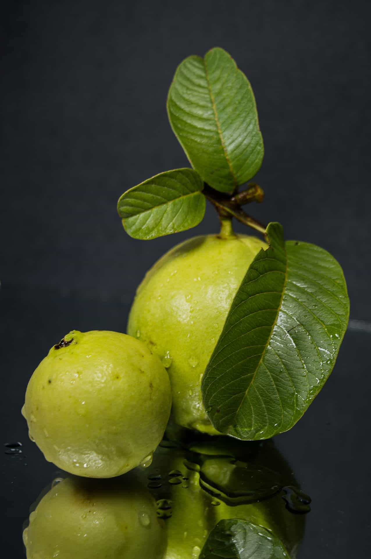 guava